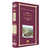 Klein si Wagner. La tratament, Hermann Hesse, Rao