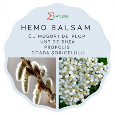 Hemo Balsam cu extract din muguri de plop si Unt de Shea, 50ml - ENATURA foto