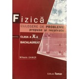 Mihaela Chirita - Fizica - Culegere de probleme propuse si rezolvate pentru clasa a X-a si examenul de bacalaureat (Editia: 2008)