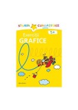 Exerciții Grafice 5 ani - Paperback - Birgit Fuchs - Nomina