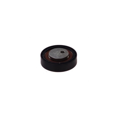 Intinzator curea FIAT DUCATO platou sasiu 244 DAYCO APV1073 foto