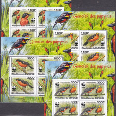 DB1 Fauna WWF Burundi Pasari de papirus 4 x MS MNH