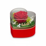 Inima cu trandafir criogenat si licheni naturali stabilizati in cutie catifea rosie