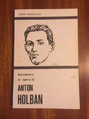Mihai Mangiulea - Introducere in opera lui ANTON HOLBAN (1989 - Ca noua!) foto