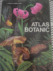 L. Popovici, C. Moruzi, I. Toma - Atlas botanic foto