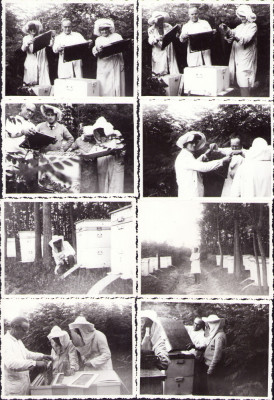 HST P476 Lot 8 poze apicultori Săbăreni jud Giurgiu 1966 foto