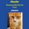 The Adventures of Charlie: Thomasina Falls Into The Pond