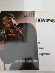 Vinil - Will Downing foto