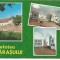 (A) carte postala-FAGARAS-Cetatea