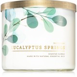 Bath &amp; Body Works Eucalyptus Springs lum&acirc;nare parfumată 411 g