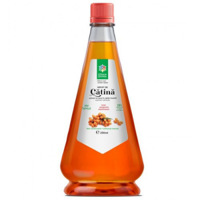 Sirop catina 250ml santo raphael foto