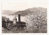 HU1 - Carte Postala - UNGARIA - Visegrad, circulata, Fotografie