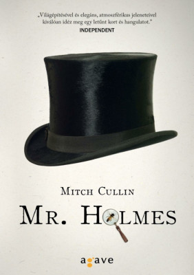 Mr. Holmes - Mitch Cullin foto