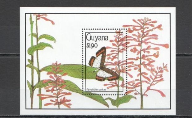 GUYANA 1990 FAUNA INSECTE FLUTURI