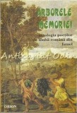 Arborele Memoriei - Radu Carneci - Antologie Poezie Romana Israel - Editura Orion 1997 - 364 Pagini - Coperta Brosata