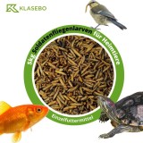 Larve de Hermetia illucens 5kg, larve uscate, hrană insecte reptile, hrană naturală