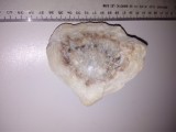 PIATRA NATURALA DECOR
