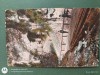 Campulung -Intrarea in pesterea Dambovicioara , anul 1924 .Regalitate Romania .CARTE POSTALA interesanta , circulata, Printata