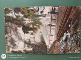 Campulung -Intrarea in pesterea Dambovicioara , anul 1924 .Regalitate Romania .CARTE POSTALA interesanta , circulata, Printata