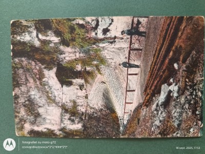 Campulung -Intrarea in pesterea Dambovicioara , anul 1924 .Regalitate Romania .CARTE POSTALA interesanta , circulata foto