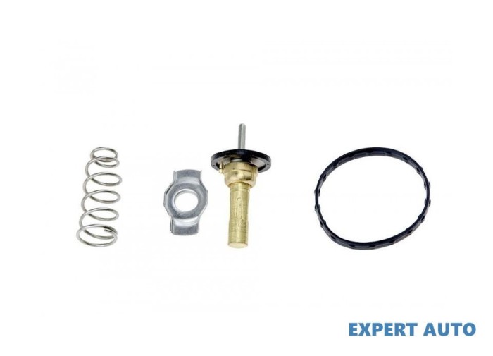 Termostat Smart Fortwo (2007-&gt;) [451] #1