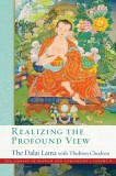 Realizing the Profound View: Volume 8