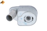 NRF 31325 EASY FIT Radiator ulei, ulei motor