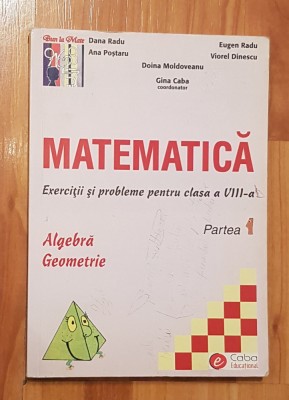 Exercitii si probleme clasa VIII de Dana Radu. Partea 1 foto