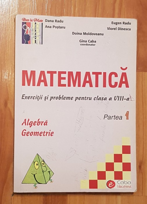 Exercitii si probleme clasa VIII de Dana Radu. Partea 1