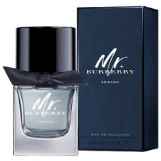 Burberry Mr. Burberry Indigo Eau de Toilette barba?i 50 ml foto