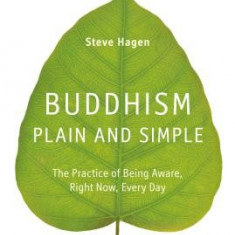 Buddhism Plain and Simple: The Practice of Being Aware, Right Now, Every Day