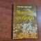 Muntele sperantei vol.3 de Petru Vintila