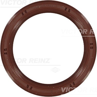 VICTOR REINZ 81-35144-00 Simering, arbore cotit foto