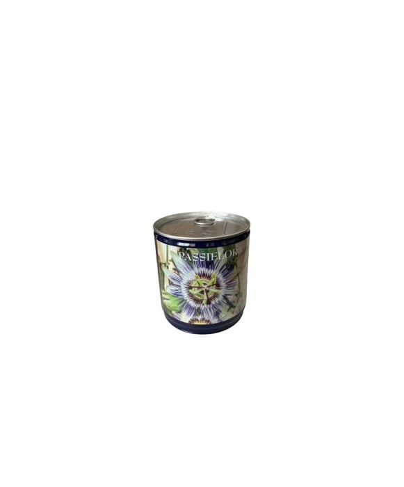 Kit Gradinarit Metal Passiflora I 1 buc