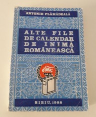 Religie Antonie Plamadeala Alte file de calendar de inima romaneasca