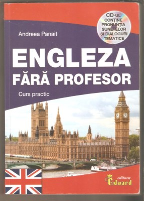 Engleza fara profesor-Andreea Panait foto