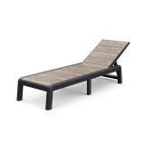 Șezlong de grădină din plastic Porto fără pernă lemn de frasin-graphite