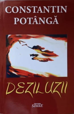 DEZILUZII. FISE PENTRU ROMAN CARE NU SE VA MAI SCRIE NICIODATA-CONSTANTIN POTANGA-236773 foto