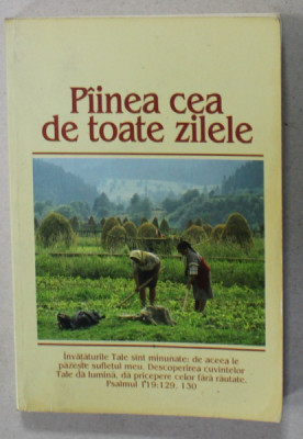 PAINEA CEA DE TOATE ZILELE , 1982 foto