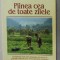 PAINEA CEA DE TOATE ZILELE , 1982