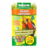 VITAMINE PAPAGALI MICI BELCUORE ENERGIE 20 G