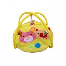 Salteluta de joaca ARTI B694537 Pig - Rabbit toys Yellow foto