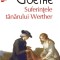 J. W. Goethe - Suferințele t&acirc;nărului Werther