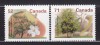 CANADA ARBORI- CASTAN AMERICAN SERIE MNH, Nestampilat