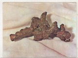 bnk cp Cluj Napoca - Muzeul mineralogic al Universitatii - cupru nativ