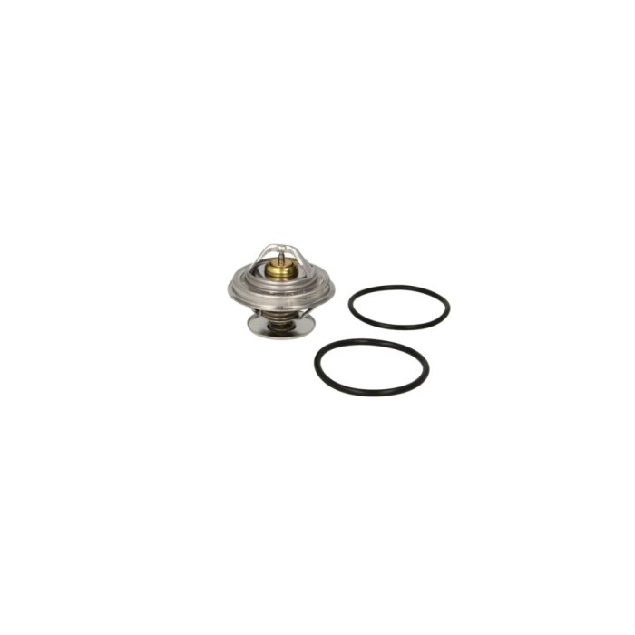Termostat lichid racire SSANGYONG REXTON GAB BEHR TX1887D