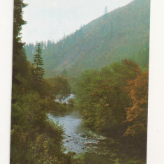 RF13 -Carte Postala- Tusnad, Valea Oltului, necirculata