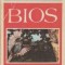 BIOS (Cele mai pasionante probleme ale lumii vii), Volumul I