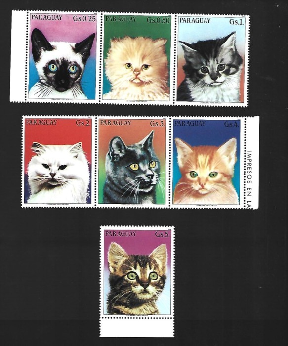 paraguay mnh