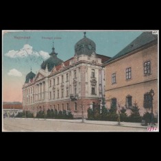 Carte poștală veche Oradea &ndash; Palatul Finantelor &ndash; 1918